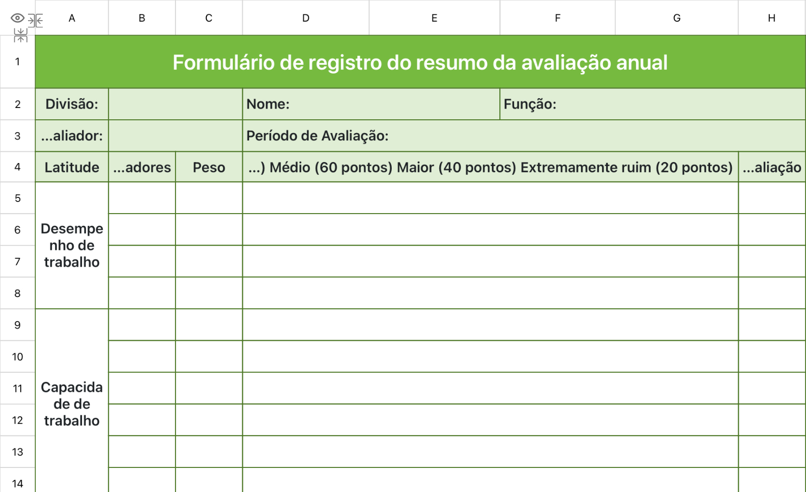 Formulário de registro do resumo da avaliação anual